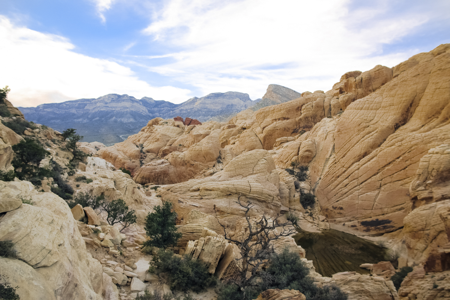 A Hike Through Calico Tanks Trails