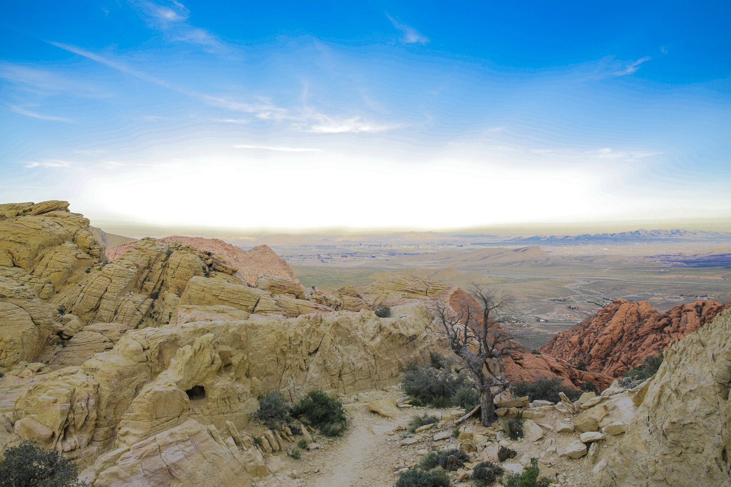 A Hike Through Calico Tanks Trails