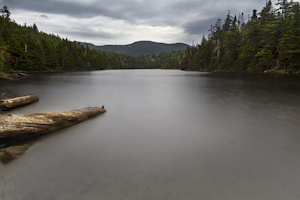 Sterling Pond Trail