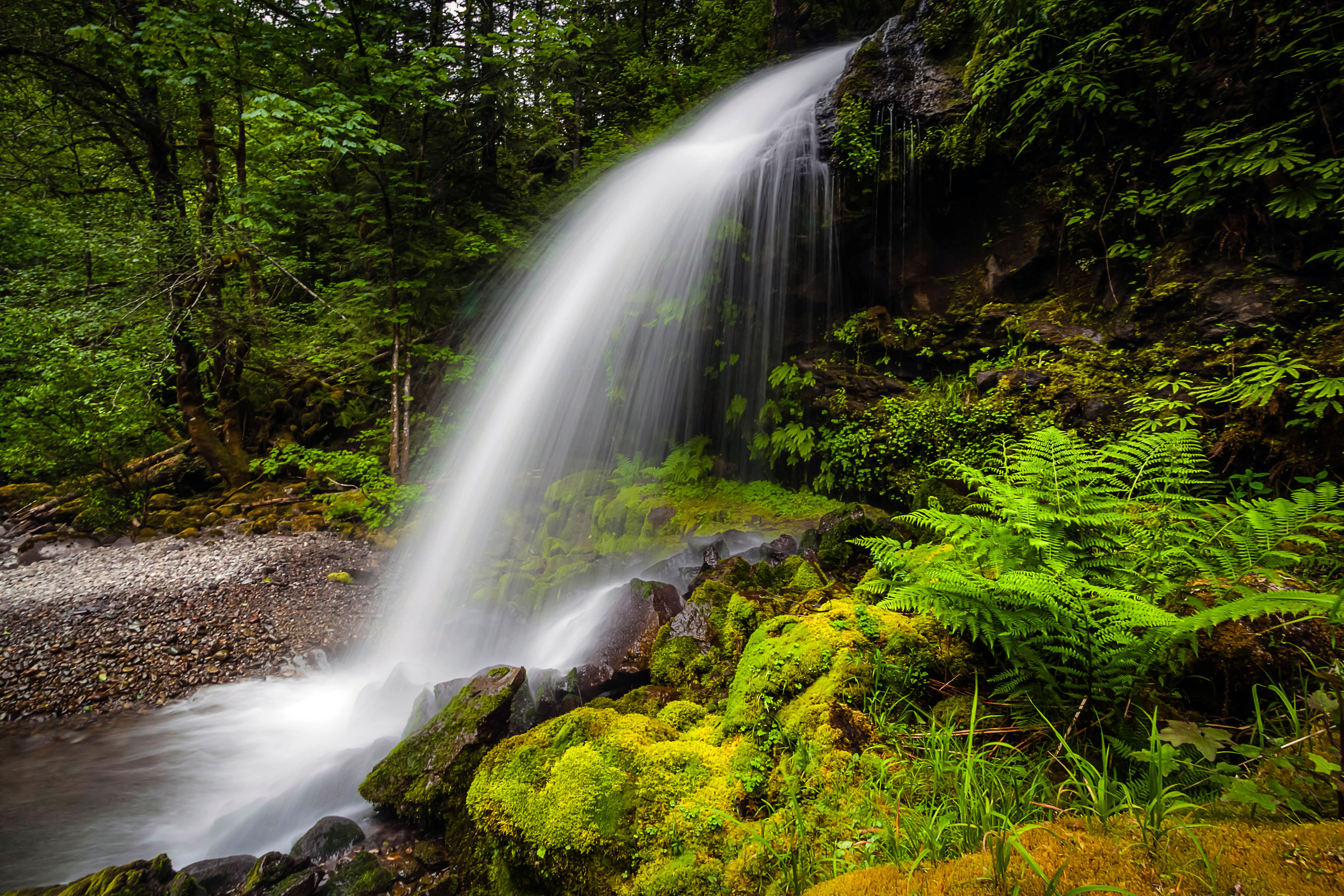 Steep Creek Falls