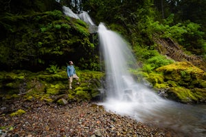 Scramble to Steep Creek Falls