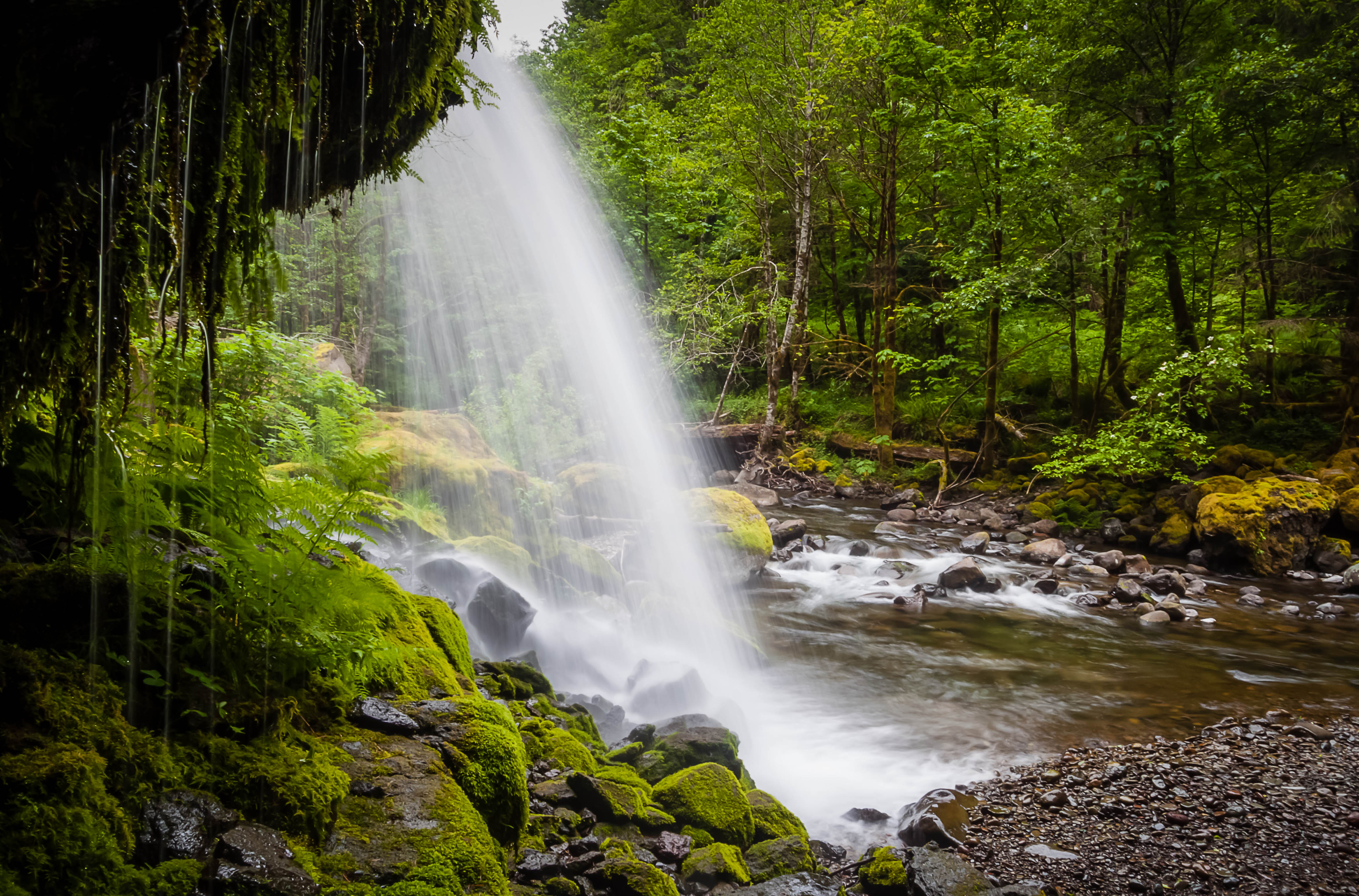 Steep Creek Falls