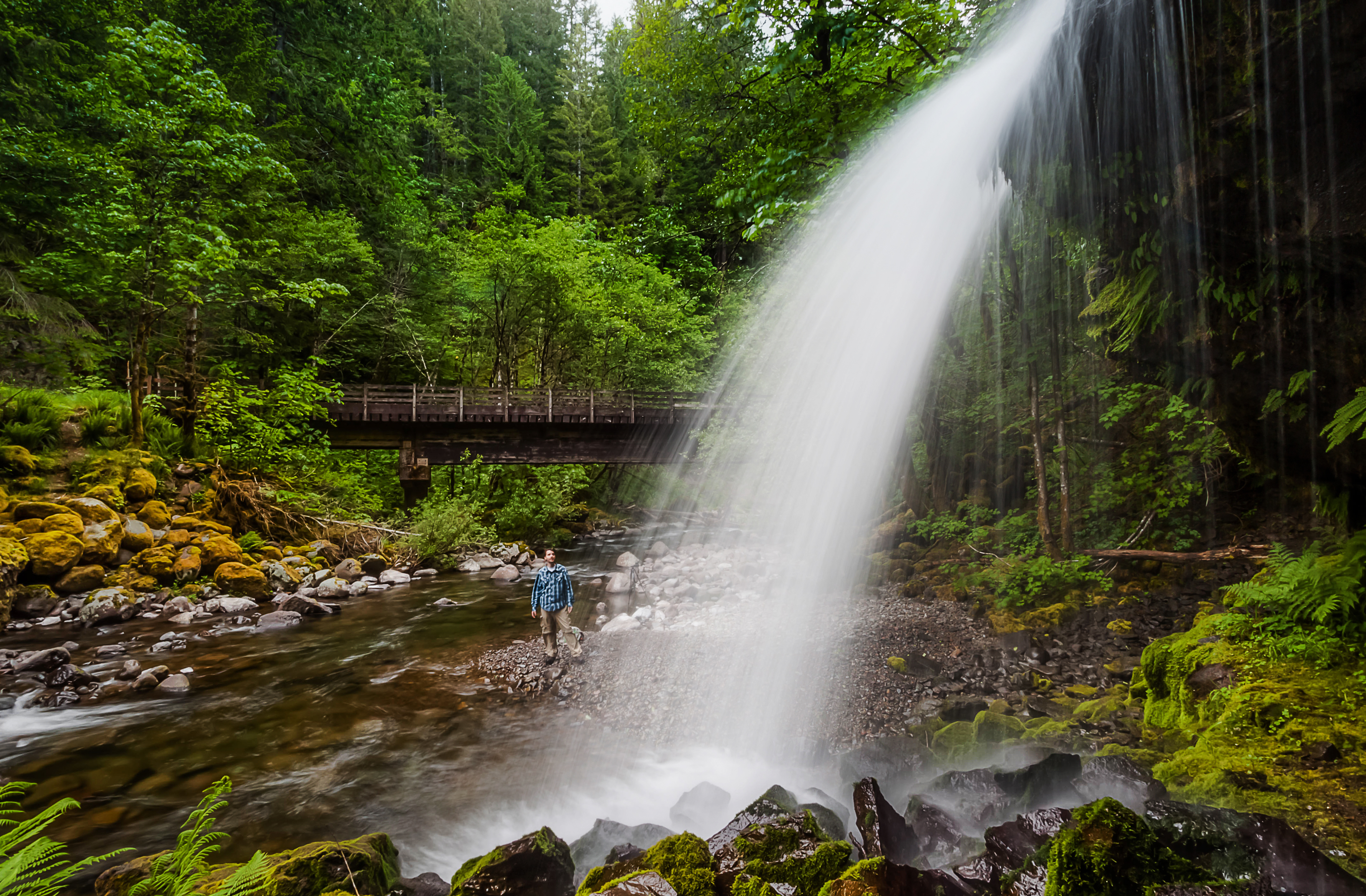 Steep Creek Falls