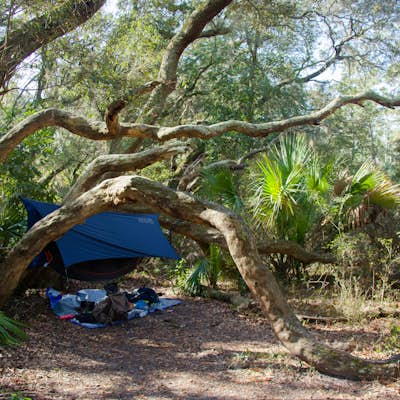 Camp on Cumberland Island