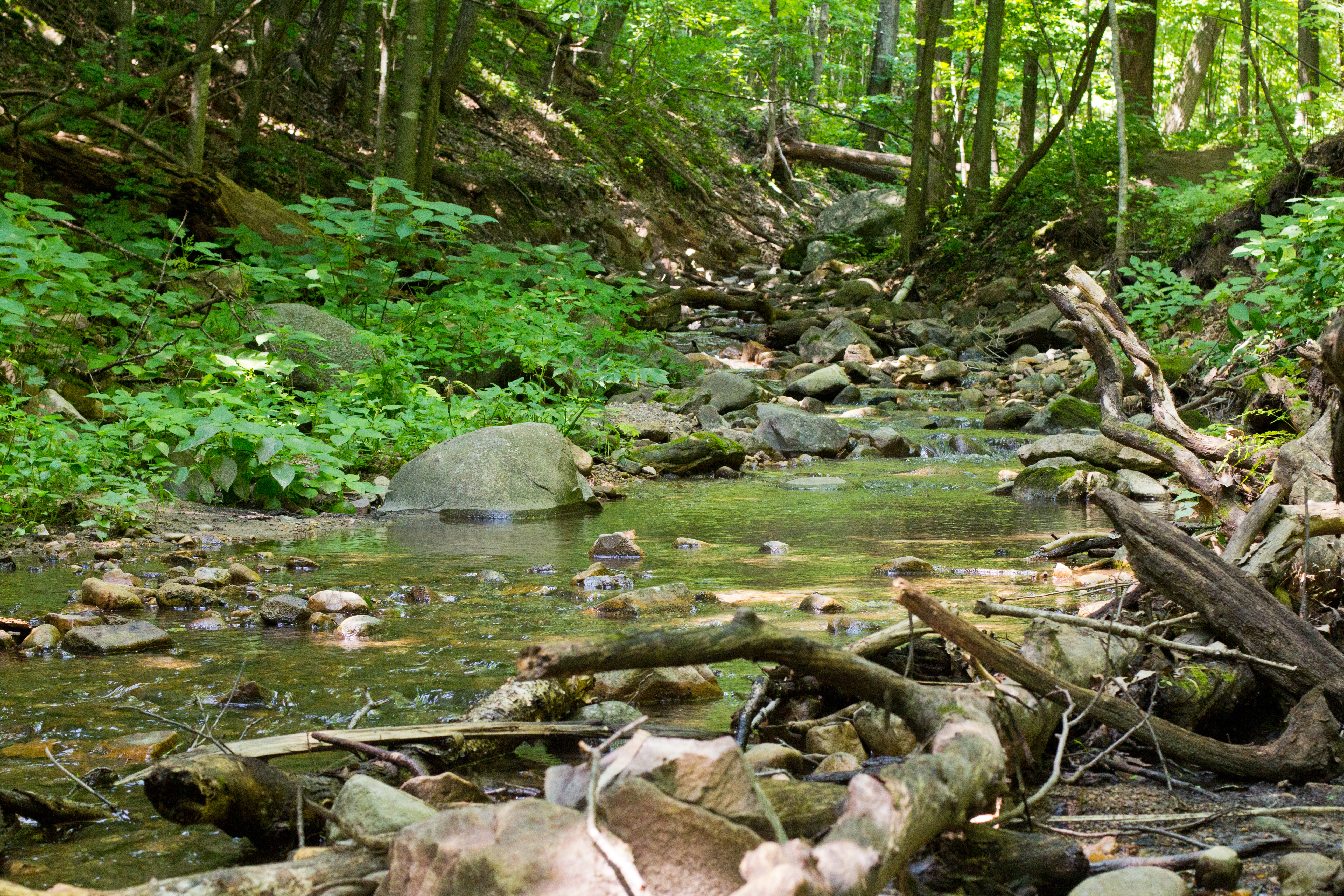 Hike Parfrey's Glen 