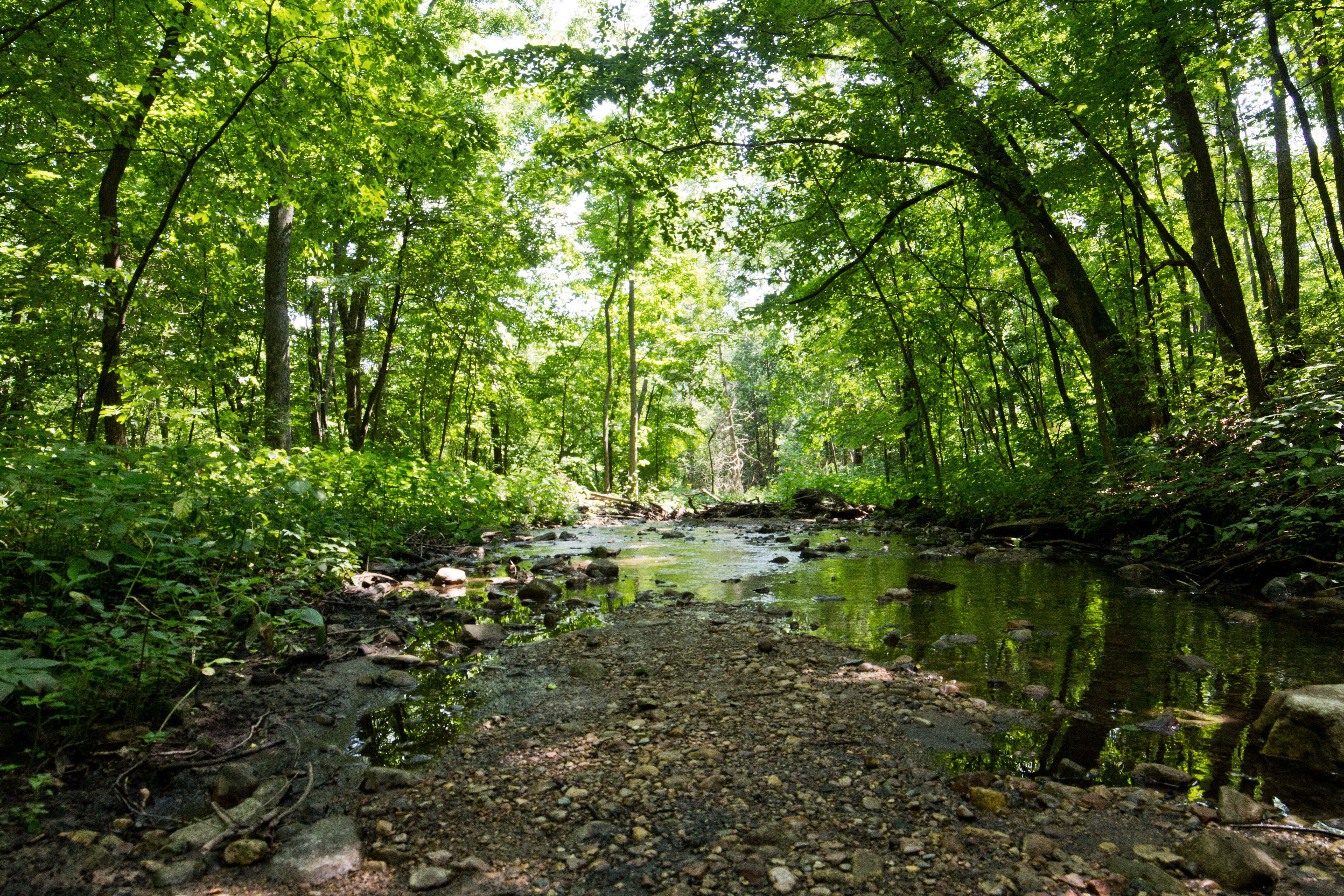 Hike Parfrey's Glen 