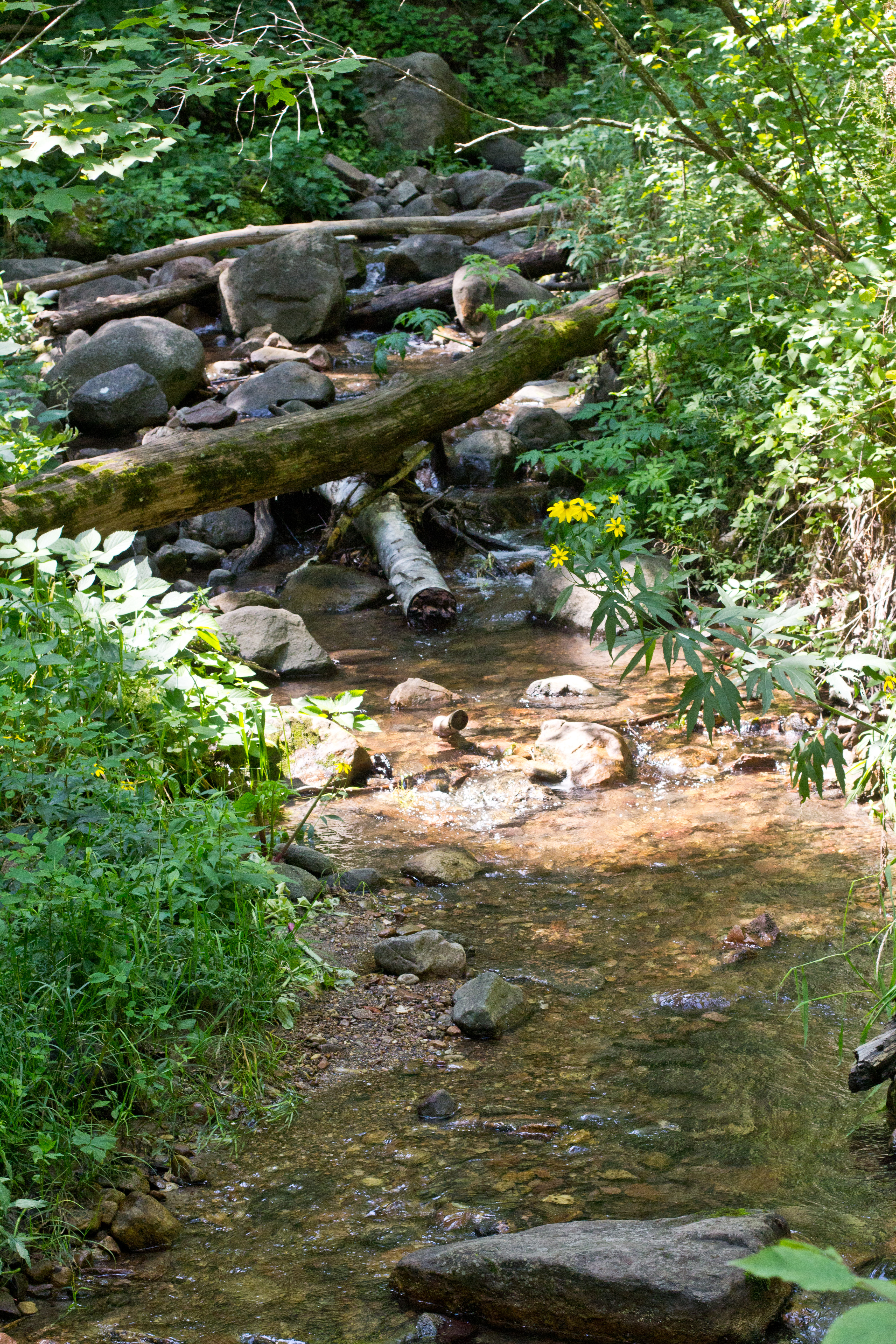 Hike Parfrey's Glen 