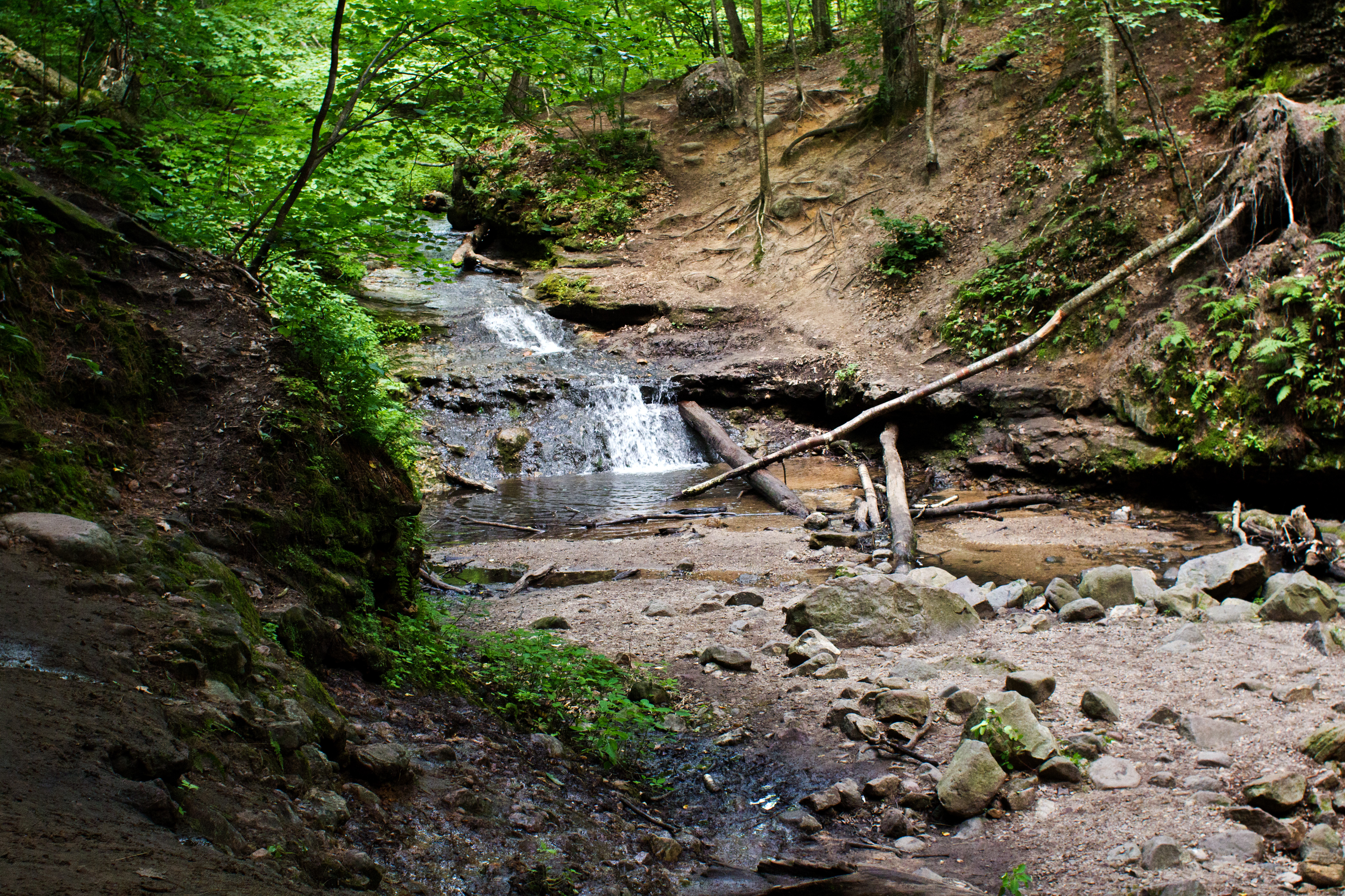 Hike Parfrey's Glen 