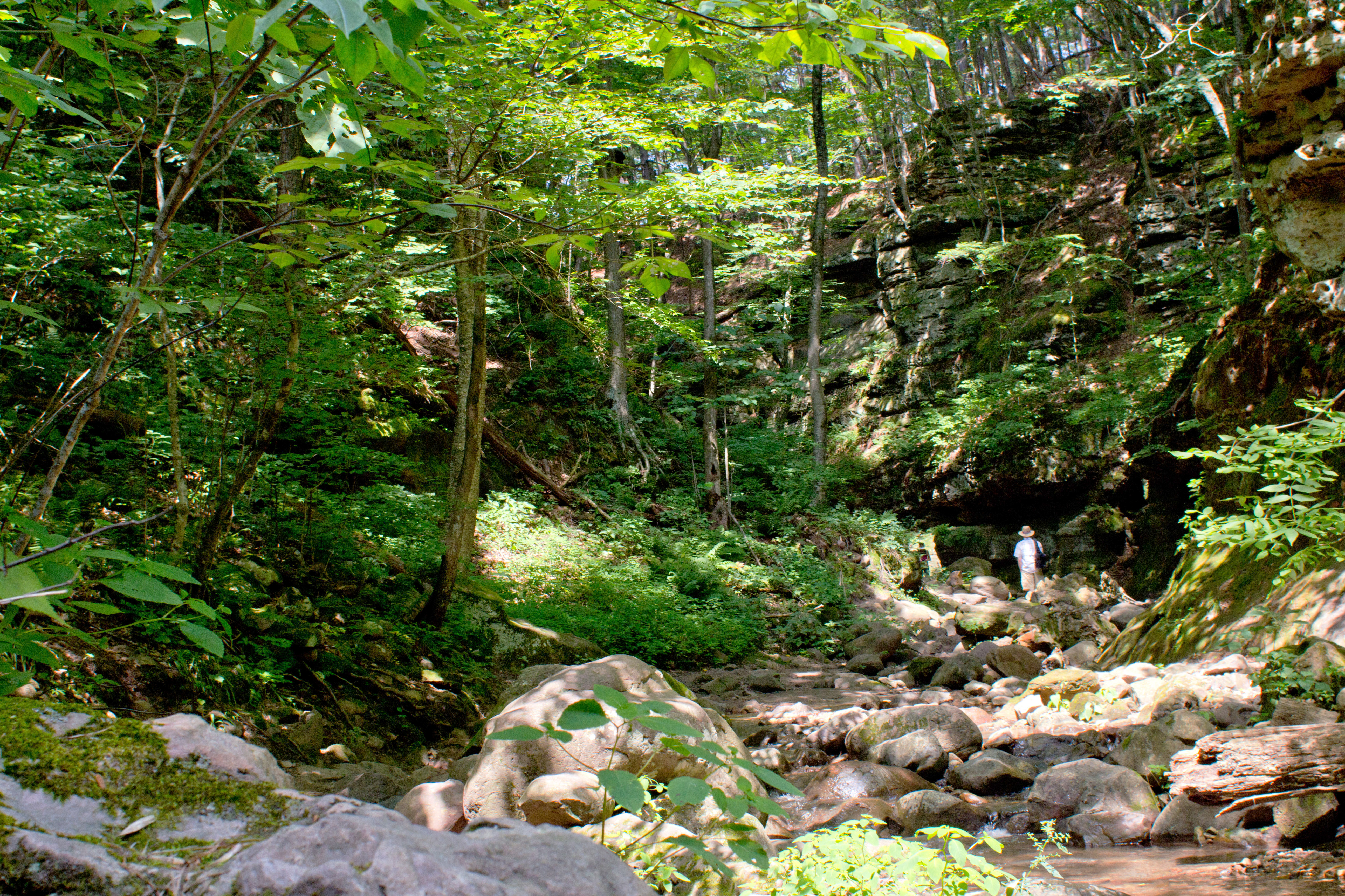 Hike Parfrey's Glen 
