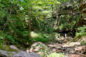 Hike Parfrey's Glen 