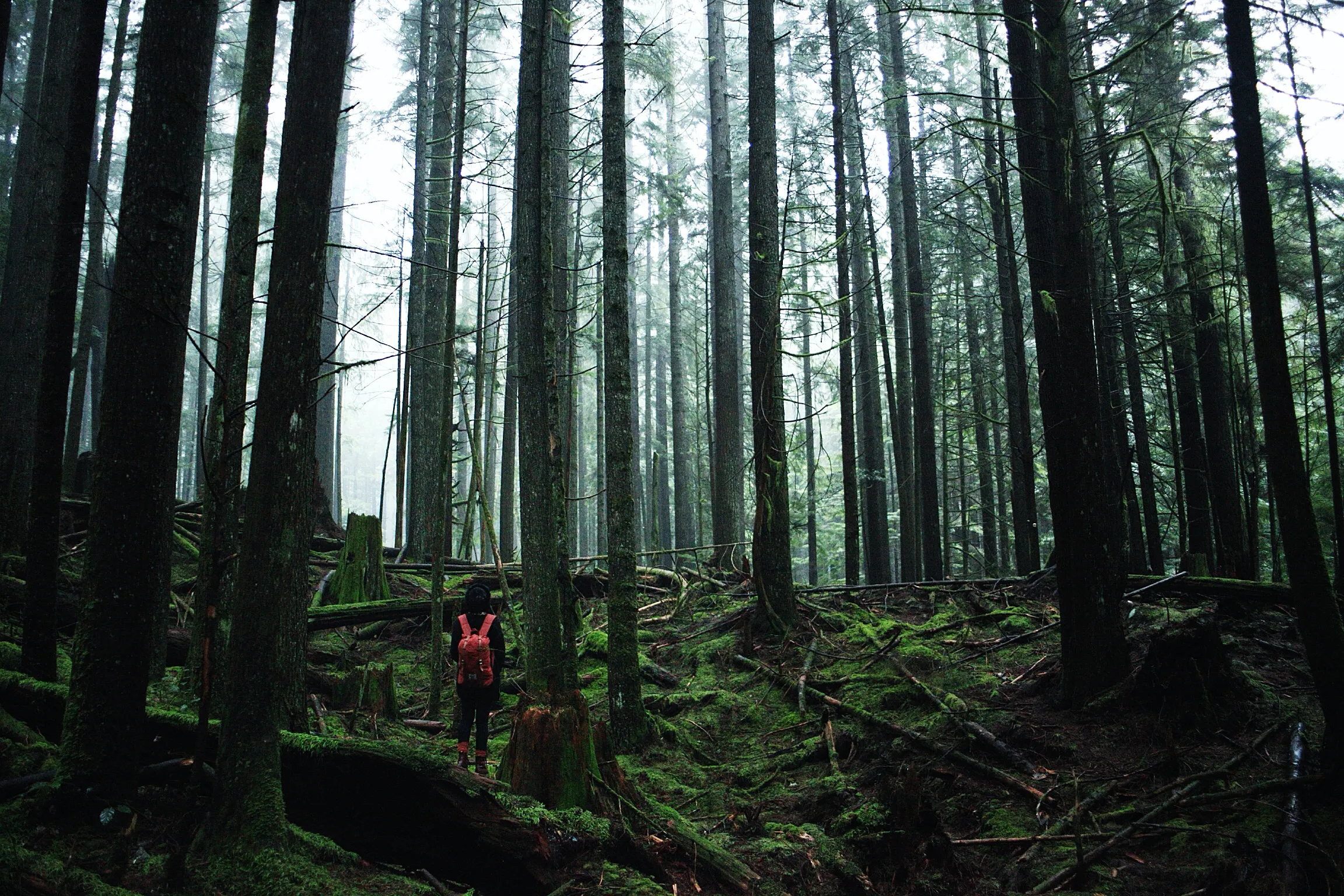 Hike Rice Lake