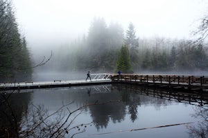 Hike Rice Lake