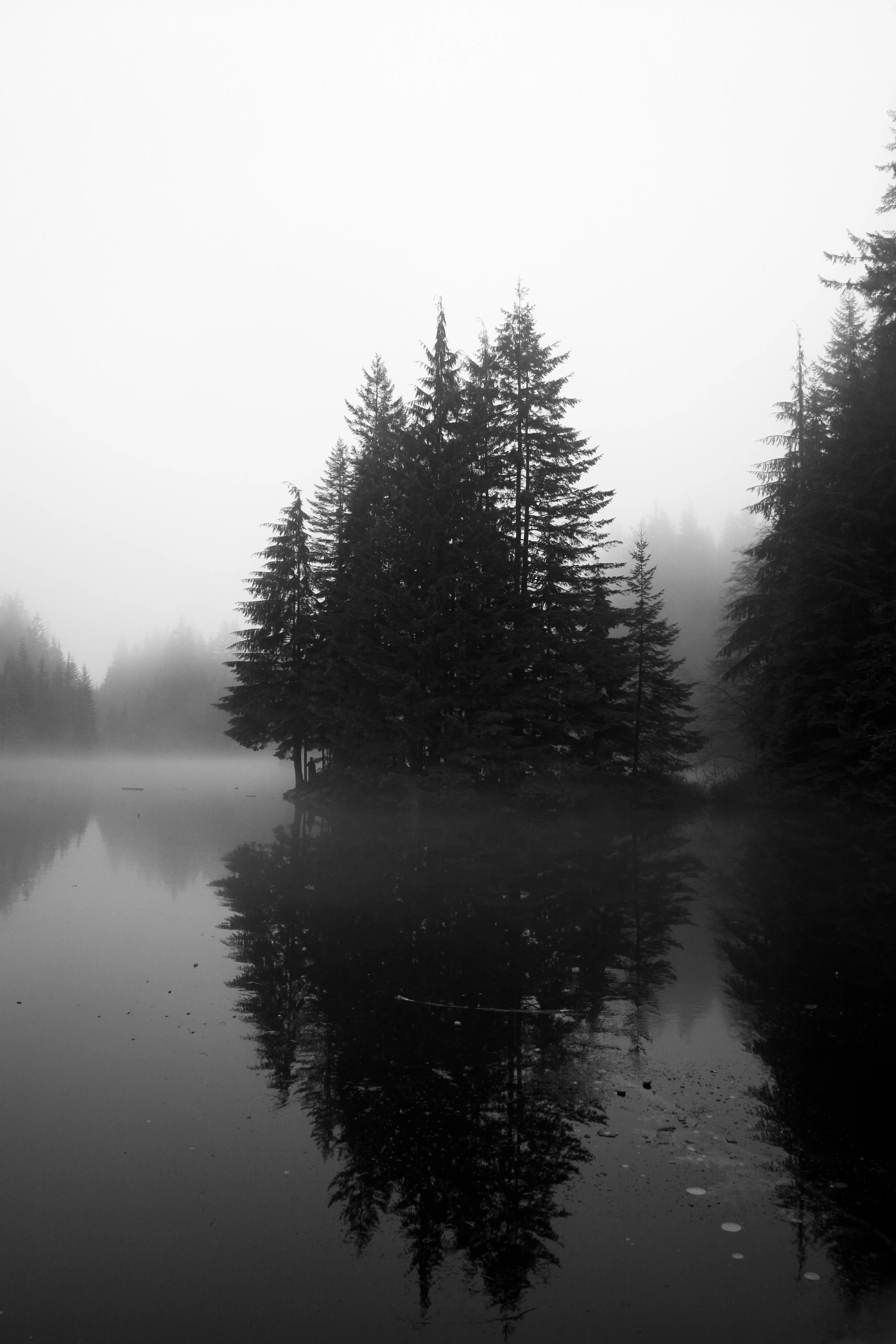 Hike Rice Lake