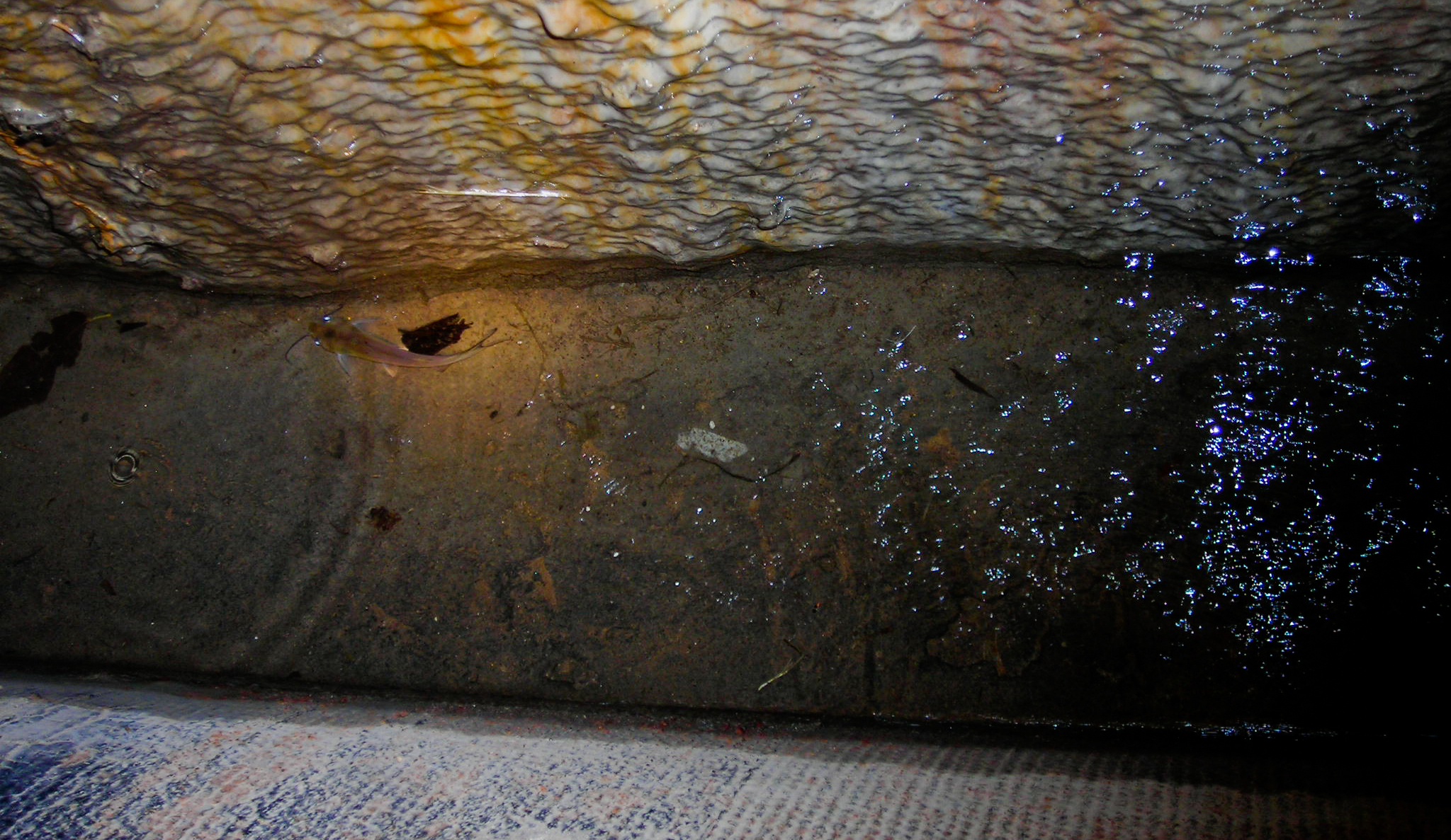 Underground Urbexing in Tulsa