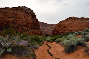 Hike to Three Ponds 