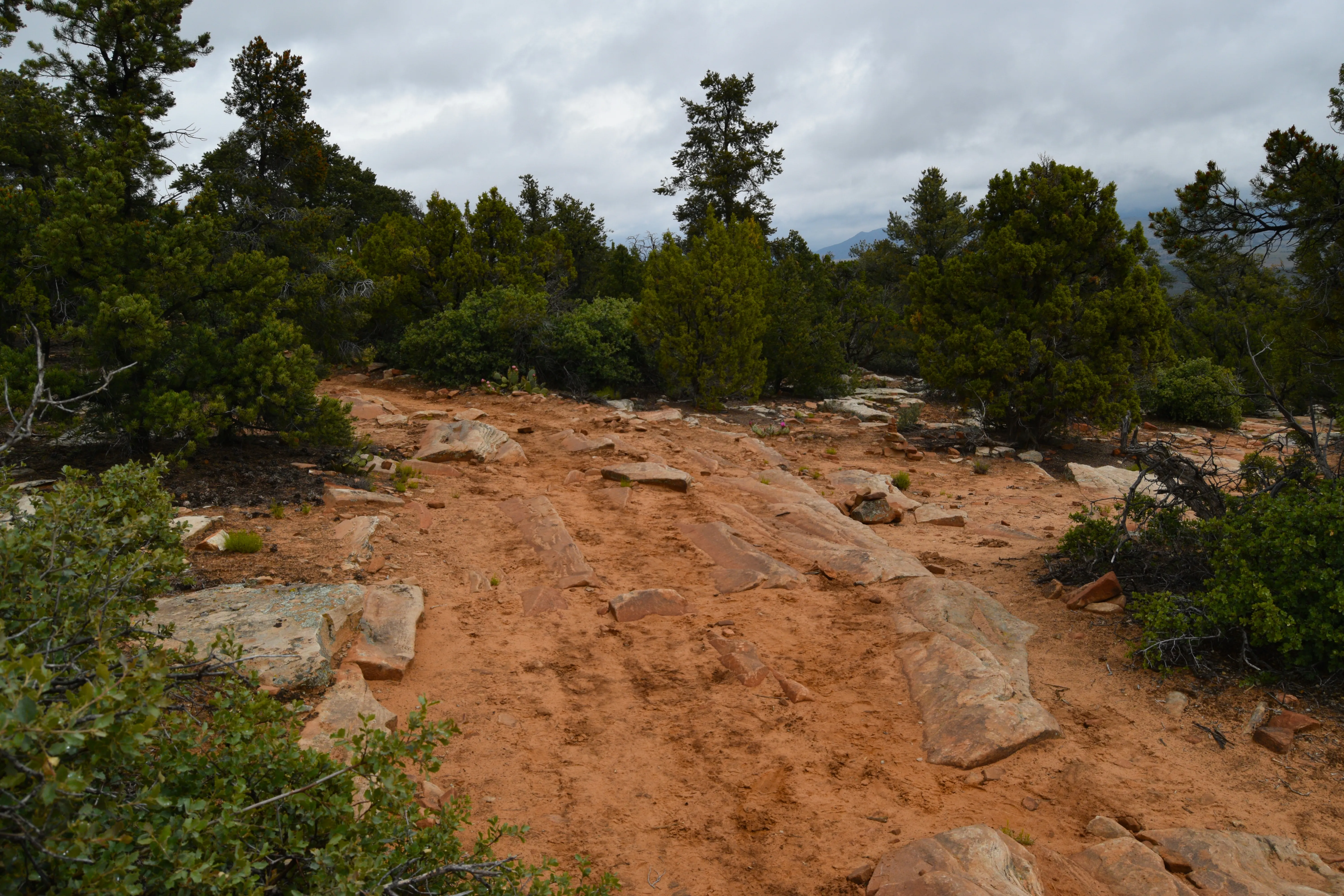 Snow Canyon Overlook via Red Mountain Trail