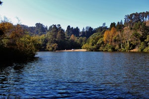 Swim at Lake Anza in Tilden Park