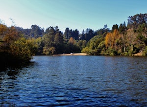 Swim at Lake Anza in Tilden Park