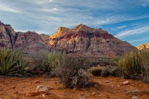 Hike Red Rock's Ice Box Canyon