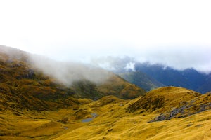 Hike to the Summit of Mount Fox above Fox Glacier 