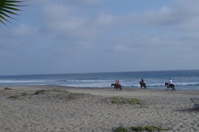 Learn to Surf at Playa Los Cerritos