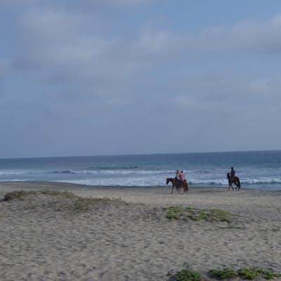 Learn to Surf at Playa Los Cerritos