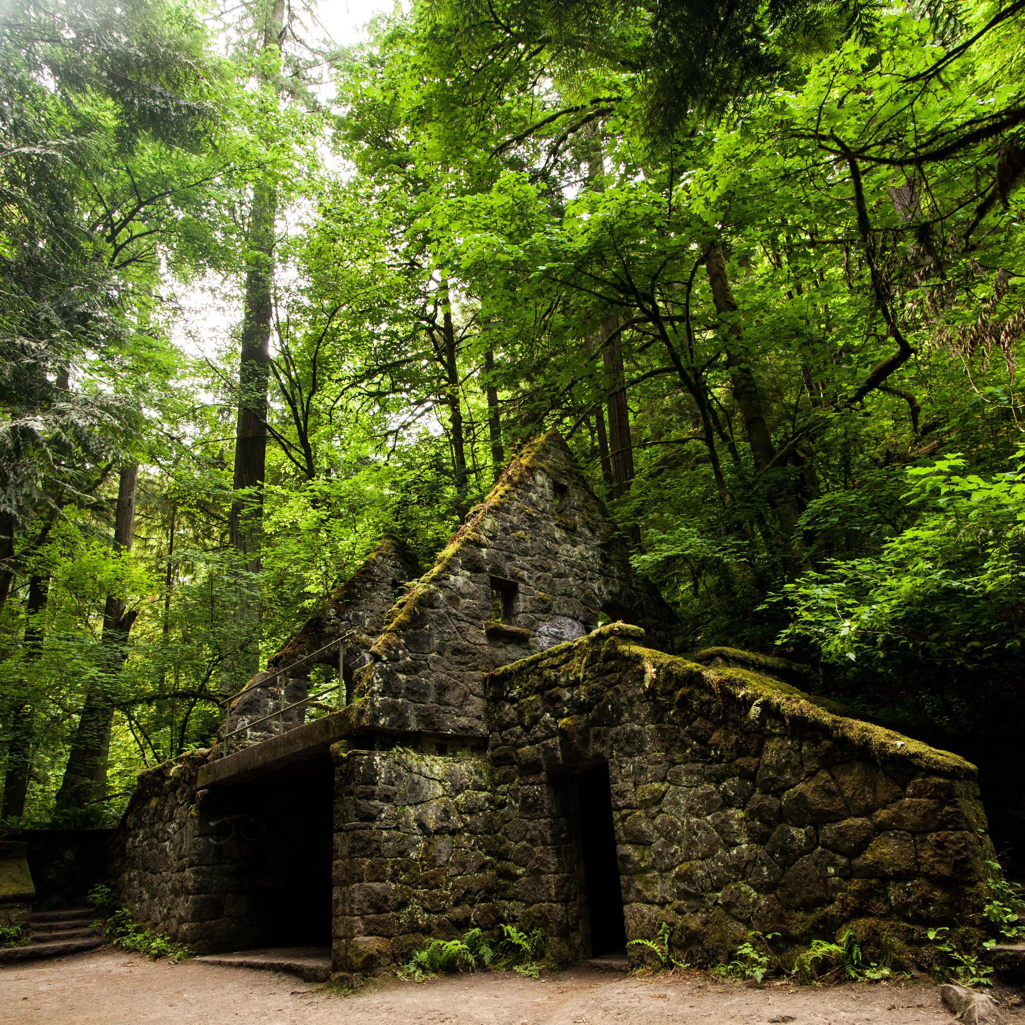 Wildwood Trail in Washington Park
