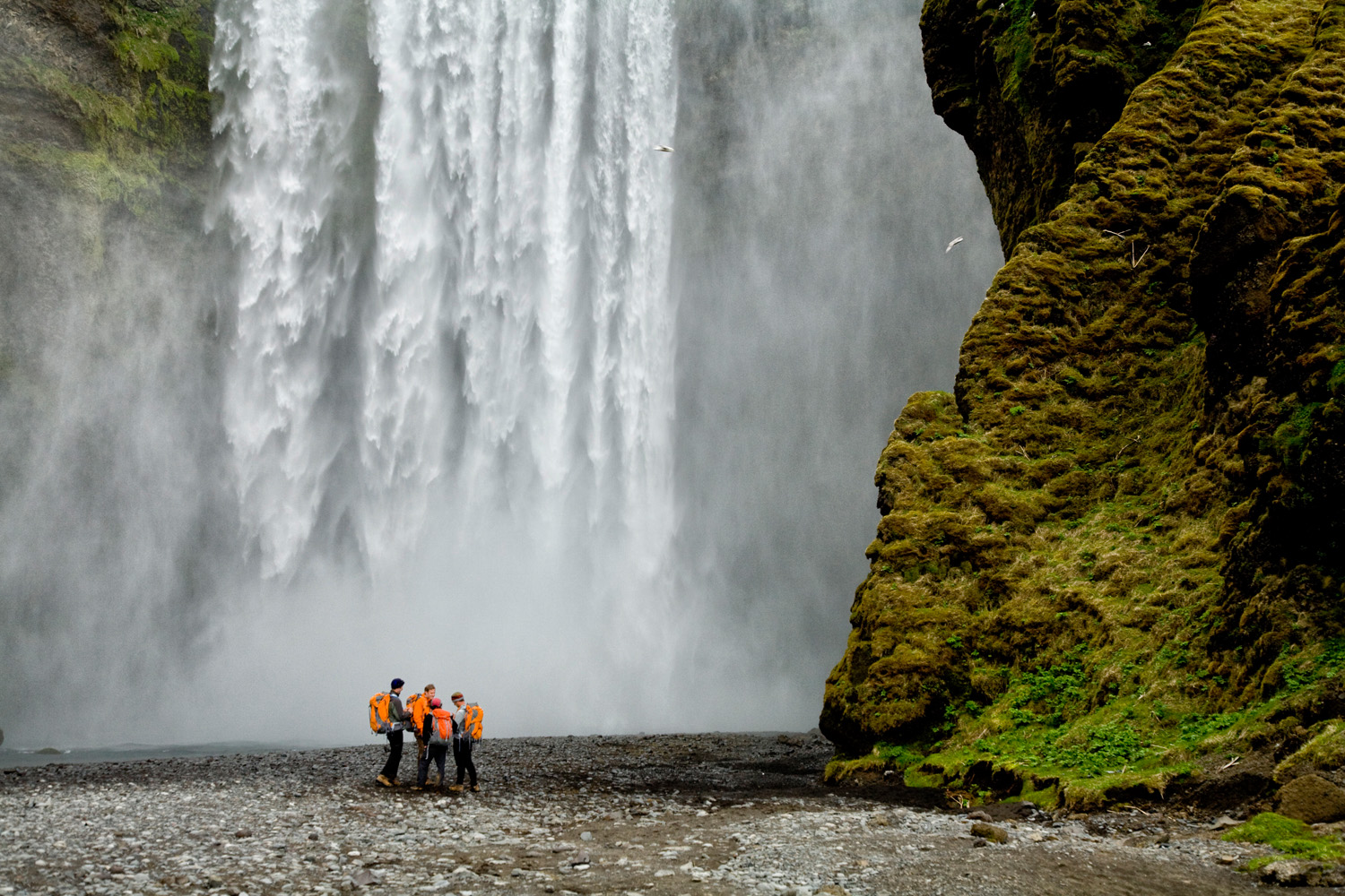 Þórsmörk's Skógar Hike