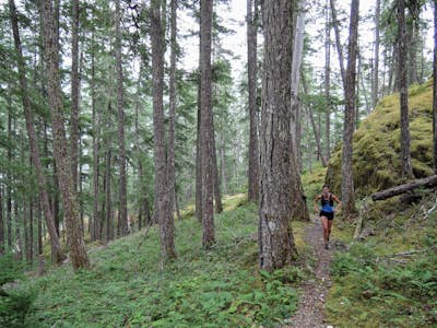 Hike through Marble Meadows to the Wheaton Hut