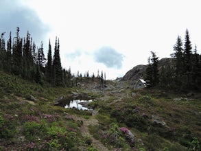 Hike through Marble Meadows to the Wheaton Hut