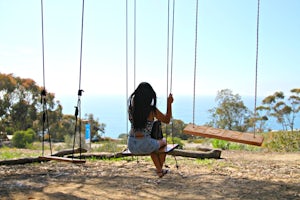 Swing on the La Jolla Tree Swings