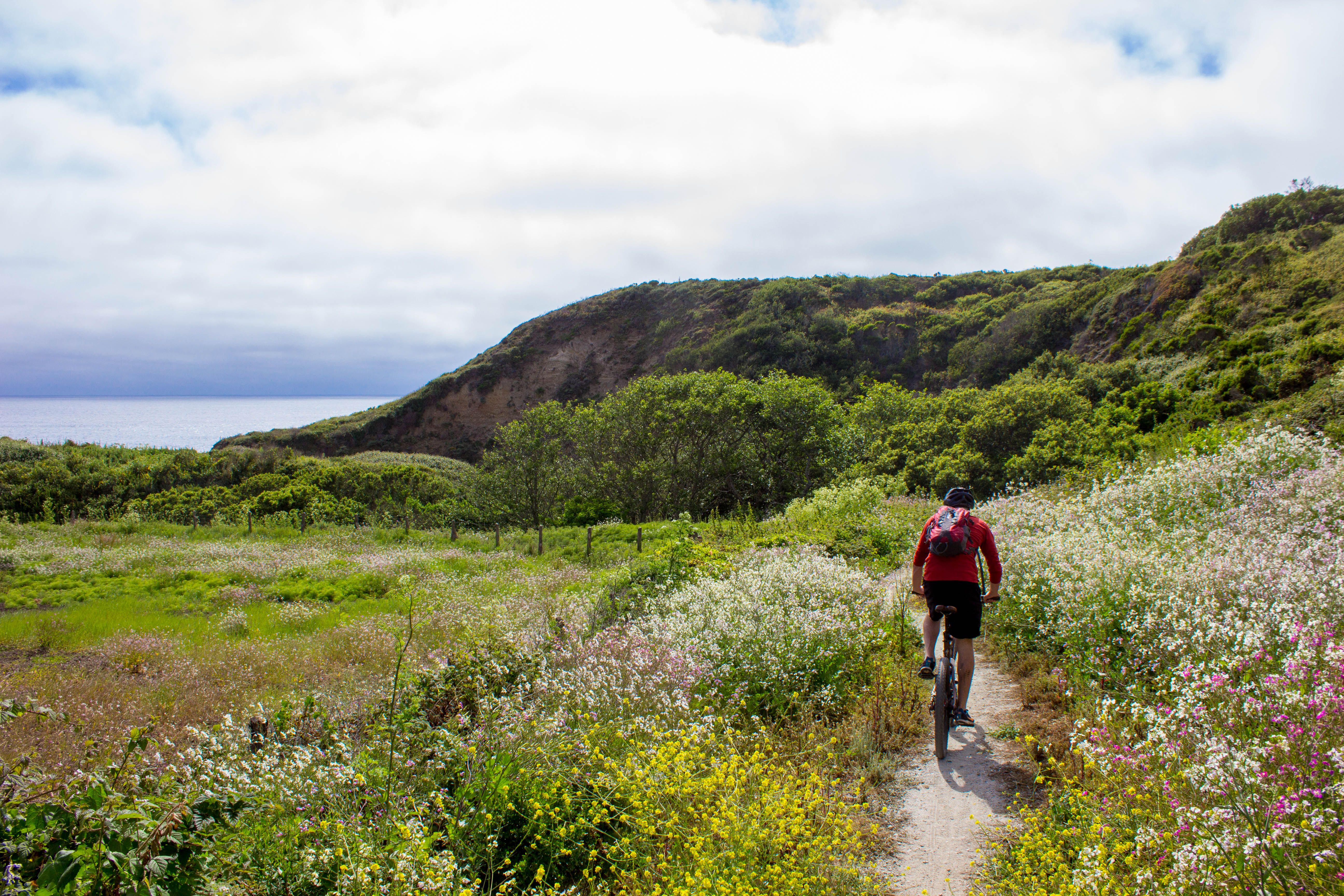 Cowell-Purisima Coastal Trail 