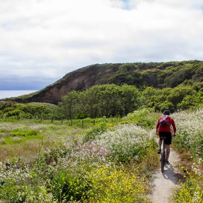 Bike the Cowell-Purisima Coastal Trail 