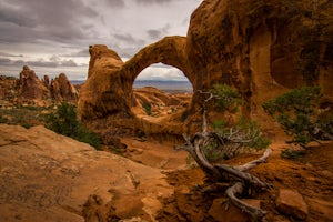 Hike Devils Garden Primitive Loop in Arches