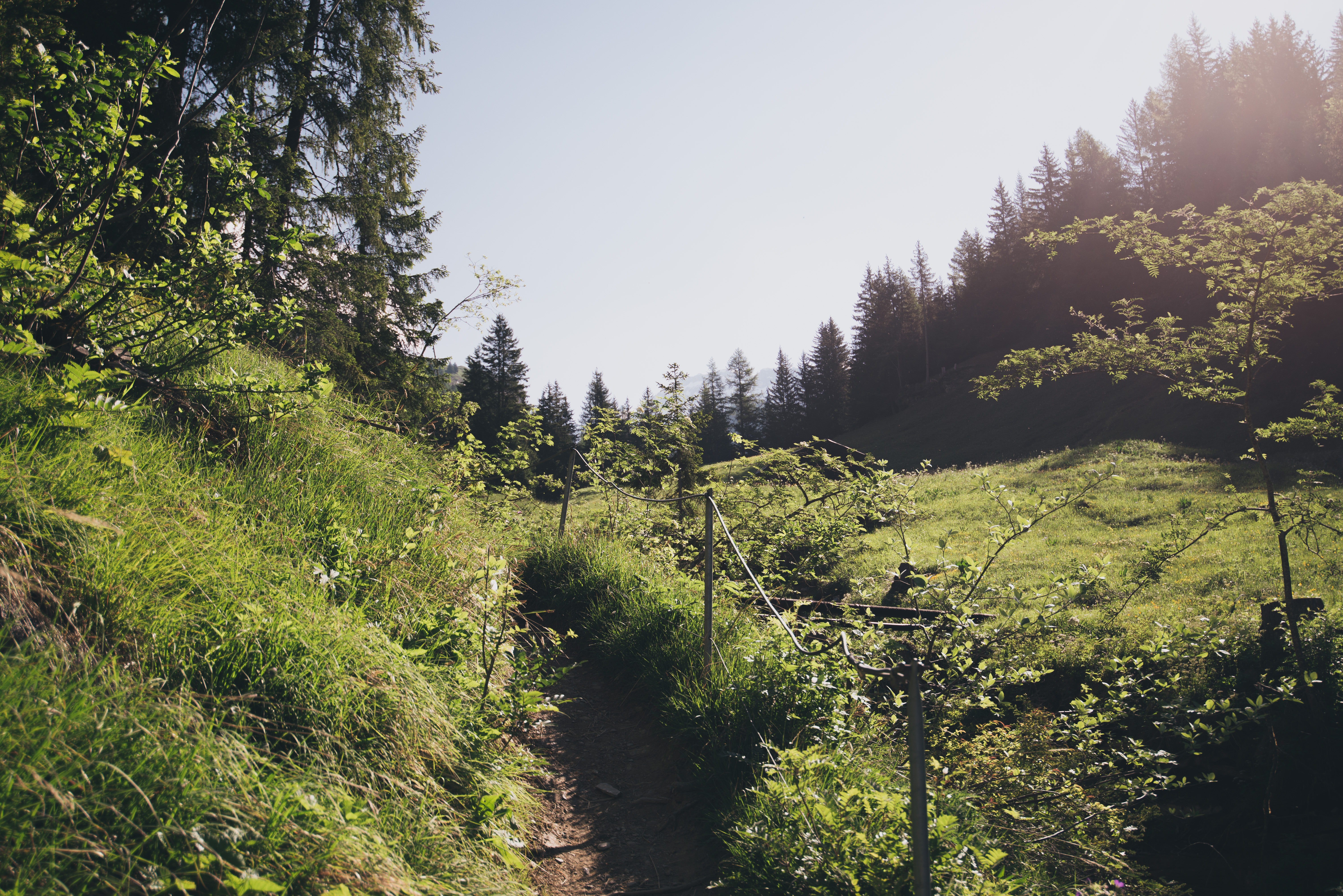 Explore Dala Gorge