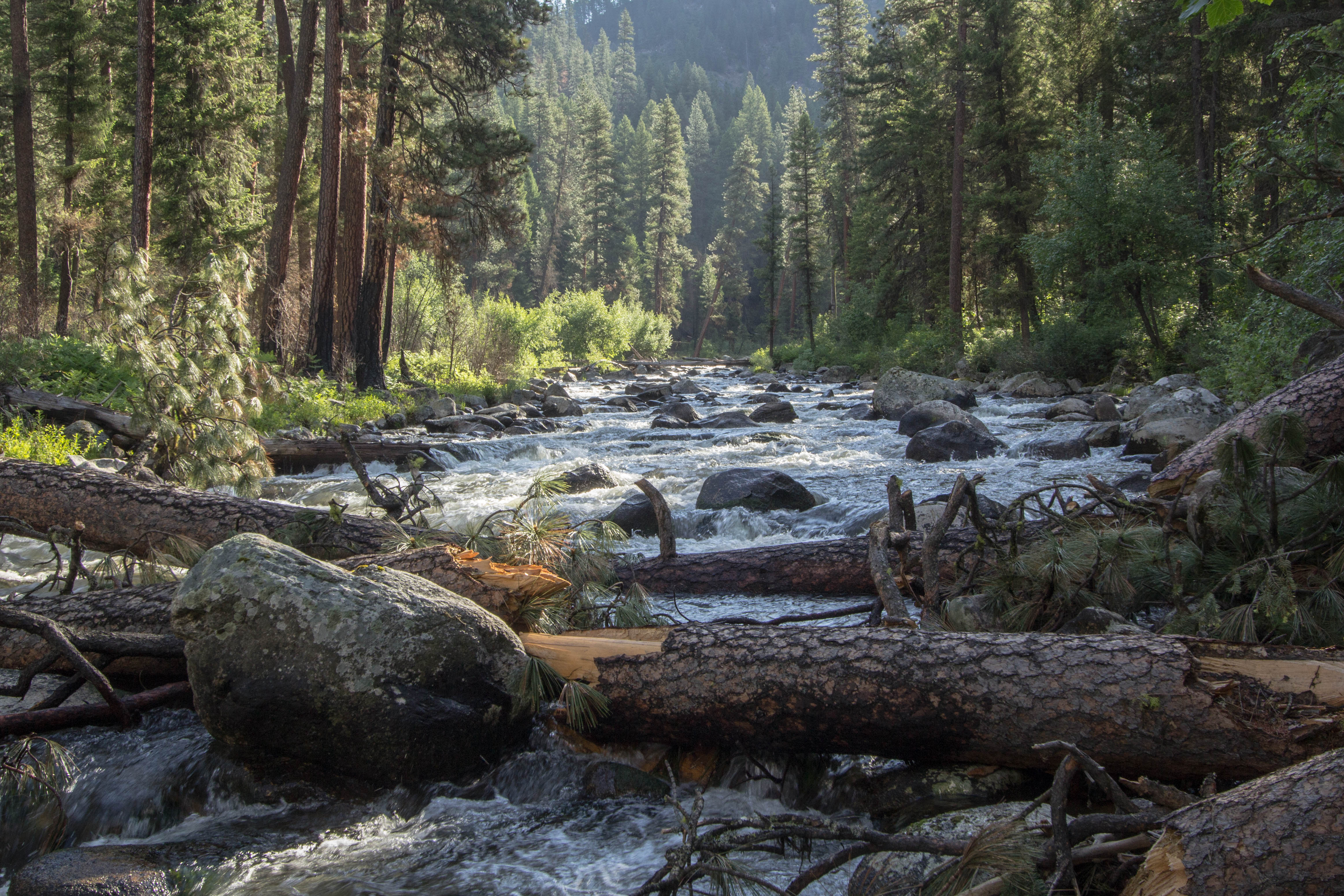 Camp at Rocky Canyon Hot Springs 