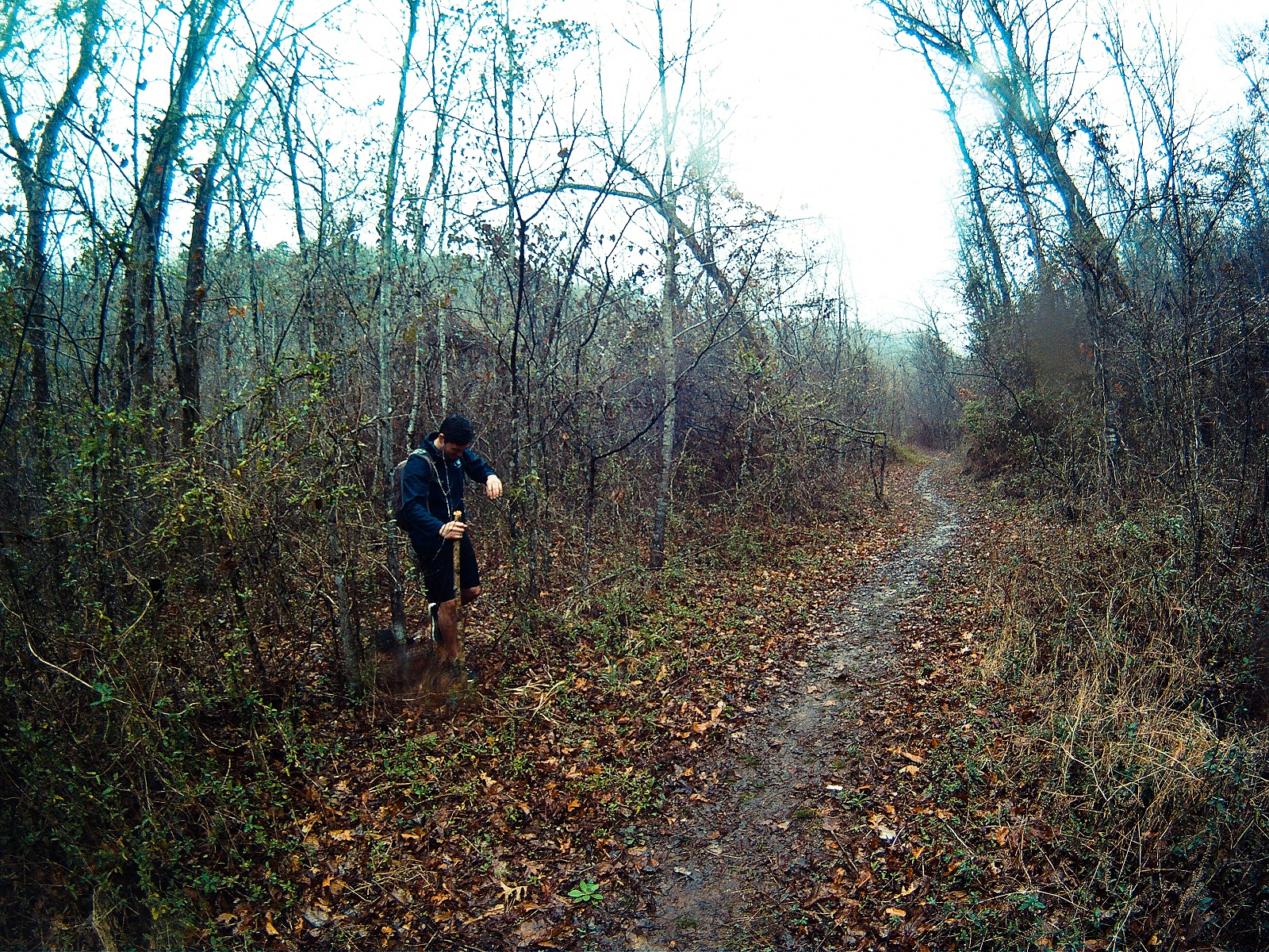 Backpack along Hurricane Creek 