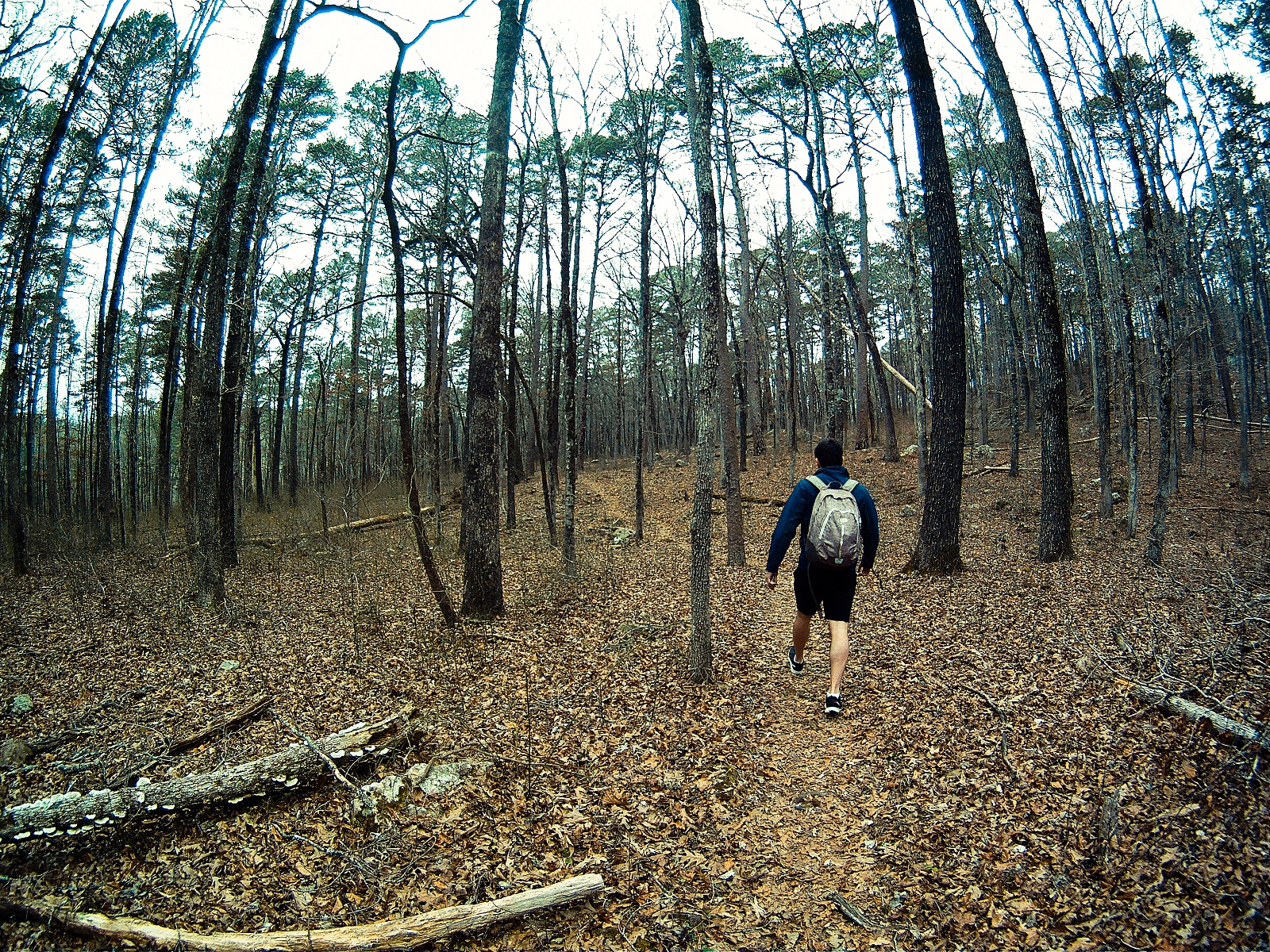 Backpack along Hurricane Creek 