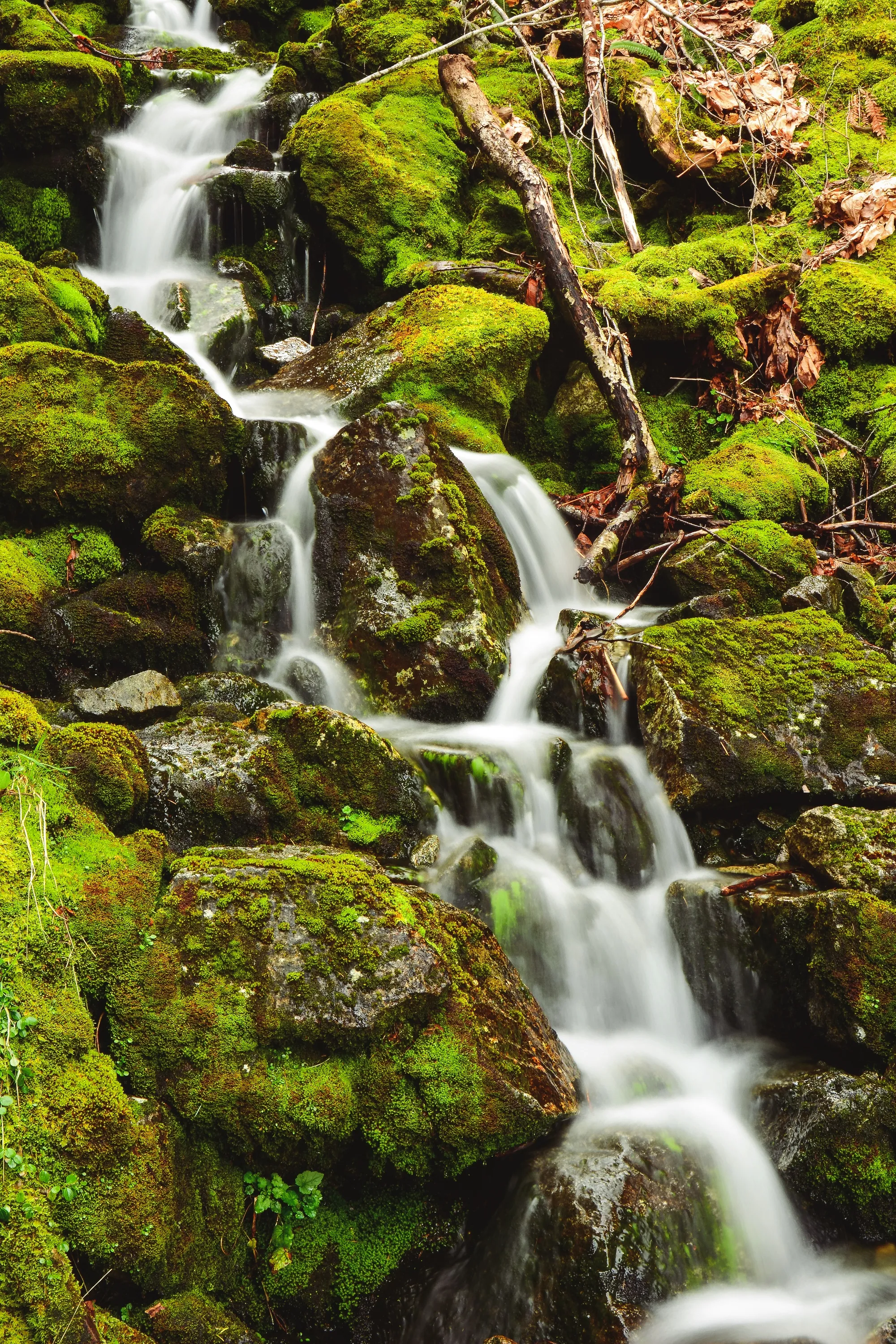 Devil's Punchbowl, Six Rivers National Forest