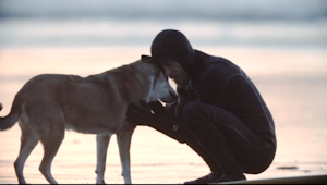 If You've Ever Loved A Dog, You Need To Watch This