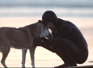 If You've Ever Loved A Dog, You Need To Watch This