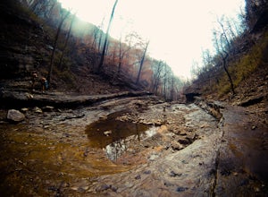 Hike to Hemmed-In Hollow Falls