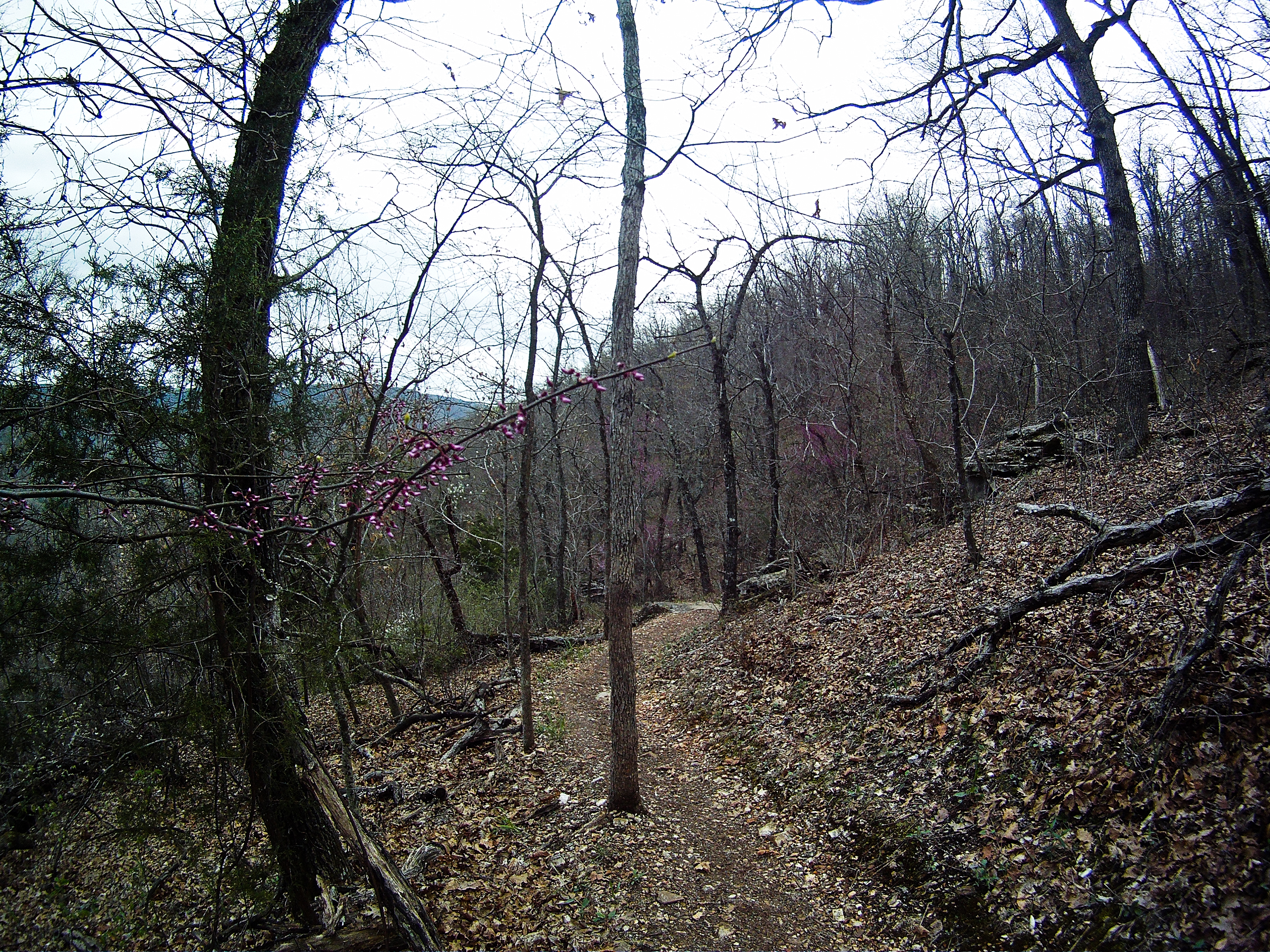 Hemmed In Hollow Falls via Hemmed In Hollow Trail