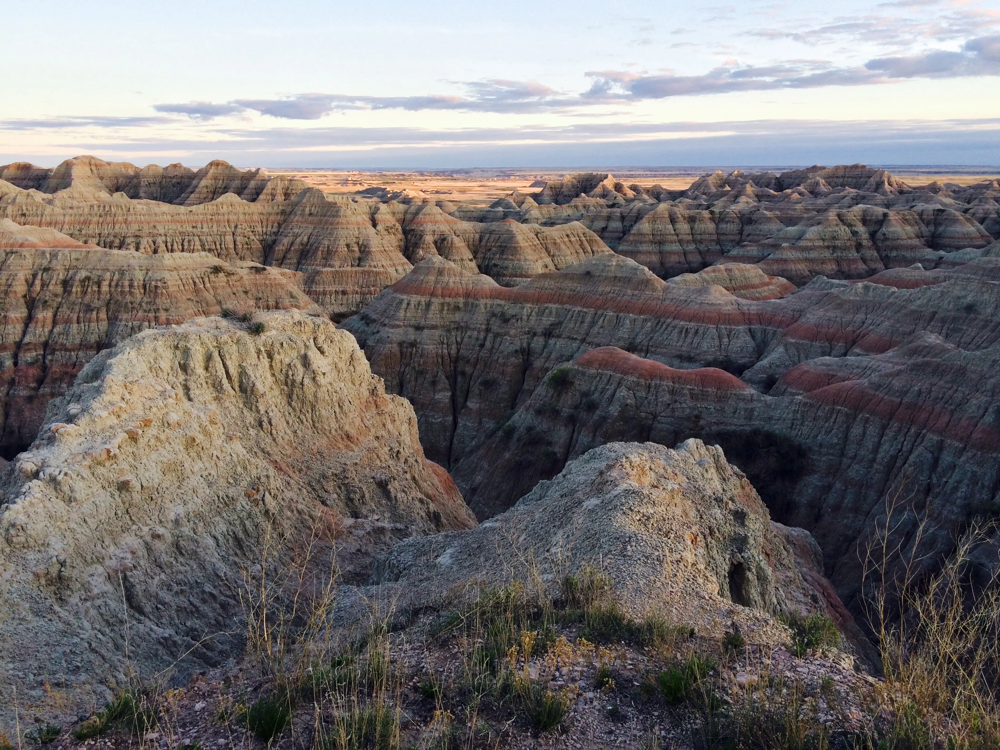 Drive the Sage Creek Rim Road