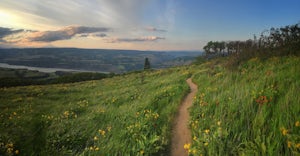 Hiking McCall Point