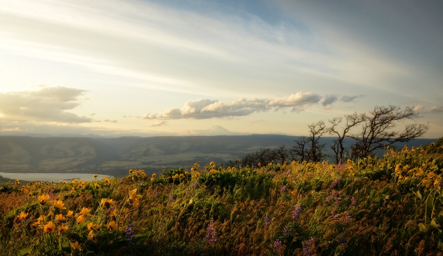 McCall Point
