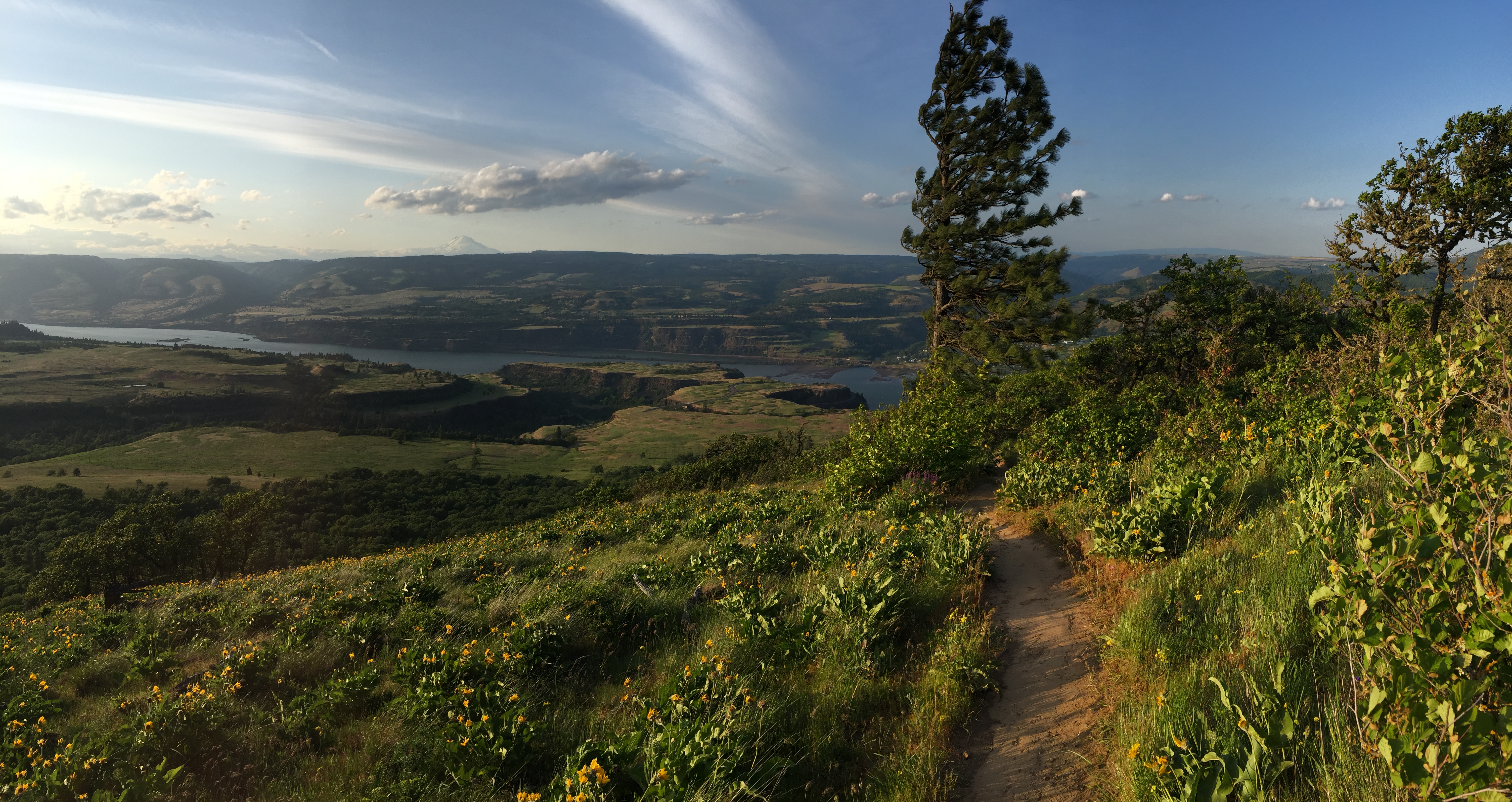McCall Point