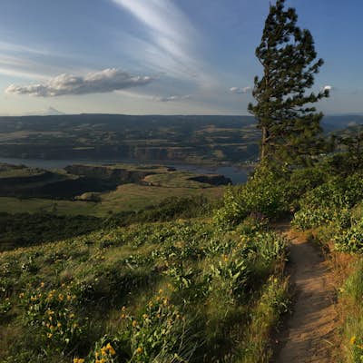 McCall Point