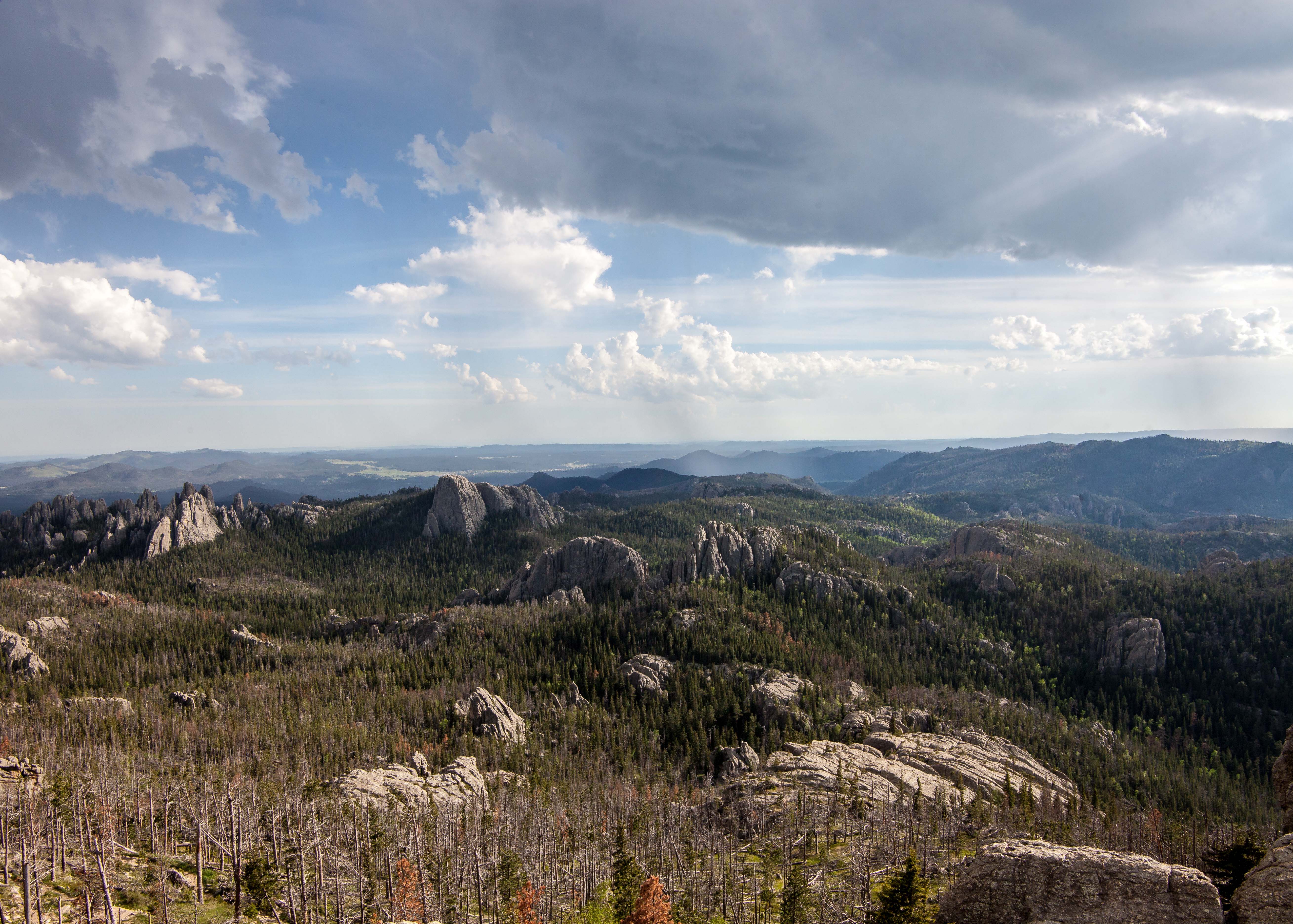 Hiking to Harney Peak 