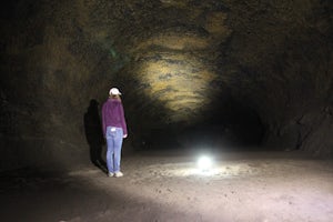 Explore the Lava River Cave